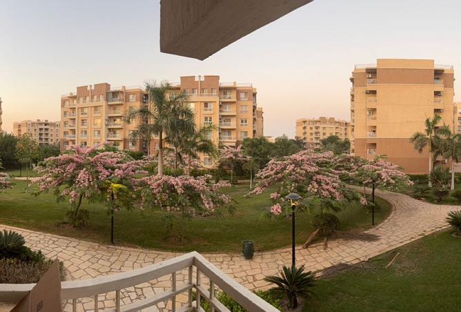 7951441 - الصورة الرئيسية للعقار