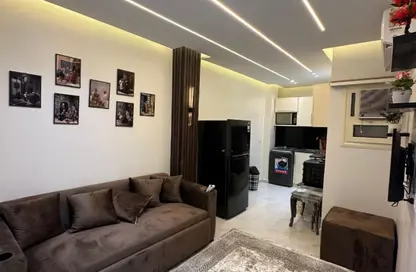 Apartment - Studio - 1 Bathroom for rent in Al Horeya St. - Almazah - Heliopolis - Masr El Gedida - Cairo