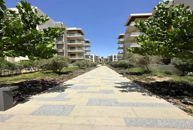 8179575 - Property Image 2