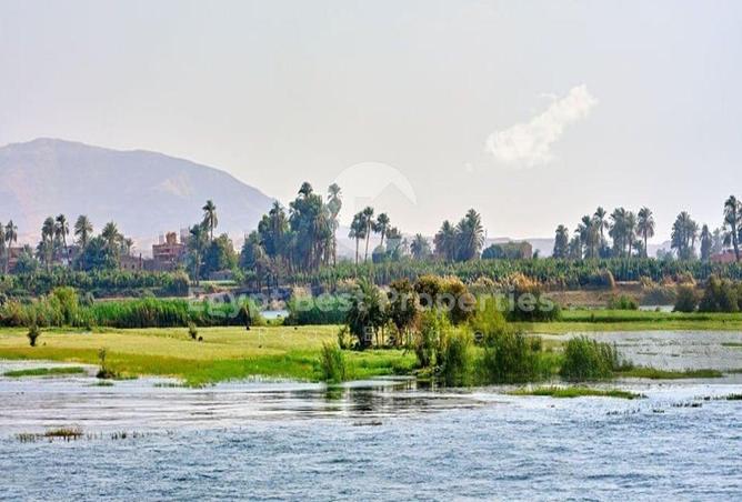 8070990 - صورة العقار 3