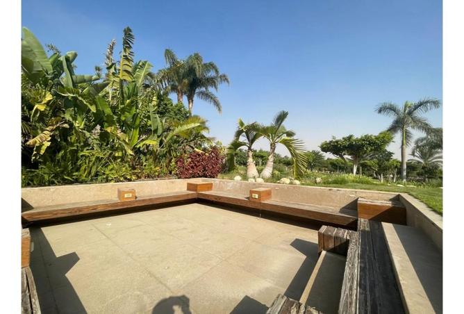 8338293 - صورة العقار 3