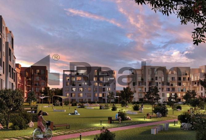 7979832 - Property Image 3