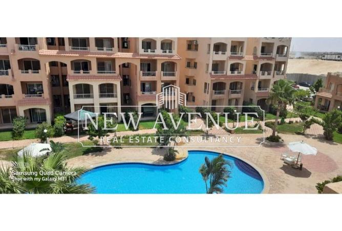 8243388 - صورة العقار 2