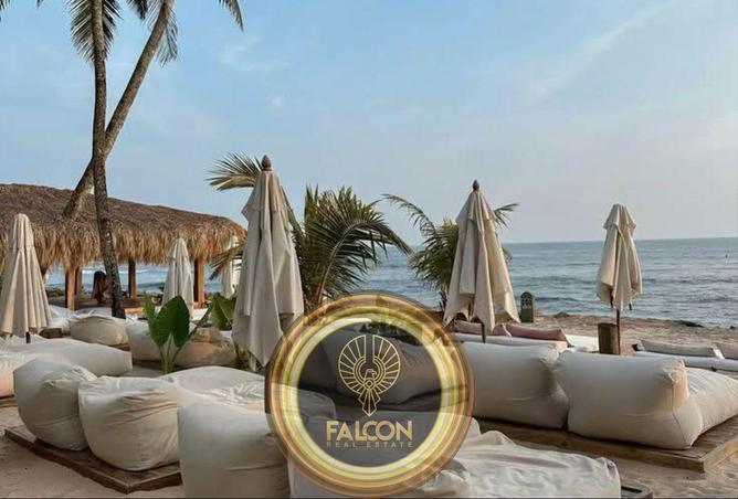 8311003 - صورة العقار 3