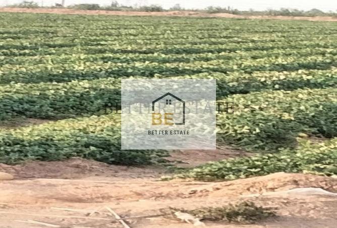 6361784 - Property Image 3