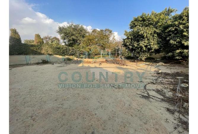 8345587 - Property Image 2