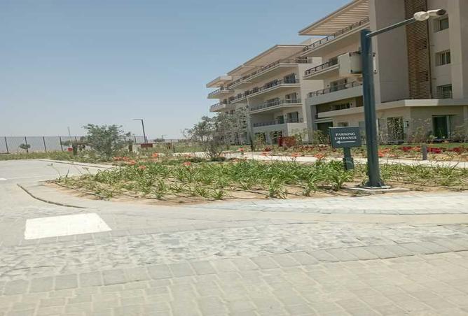 7991412 - Property Image 3