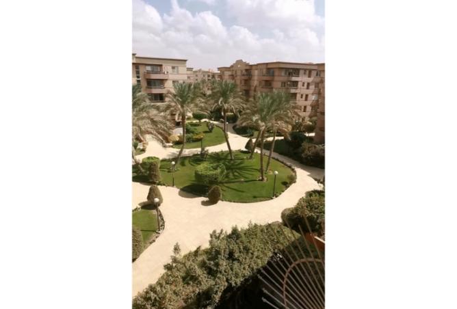 8445335 - Property Image 3