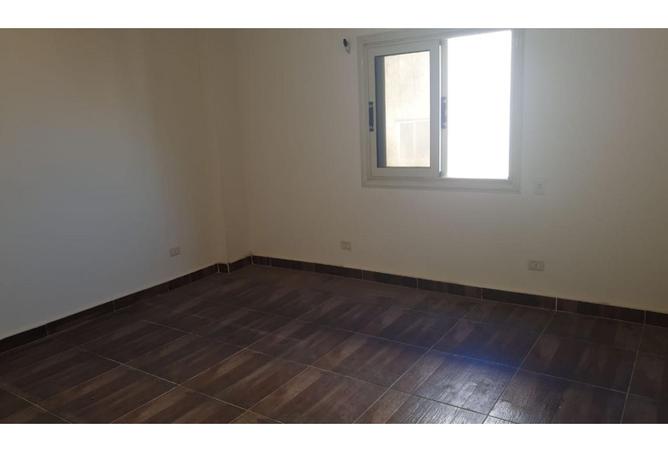 7986214 - Property Image 3