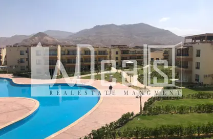 Chalet - 2 Bedrooms - 2 Bathrooms for sale in Marina Wadi Al Dome - Al Ain Al Sokhna - Suez
