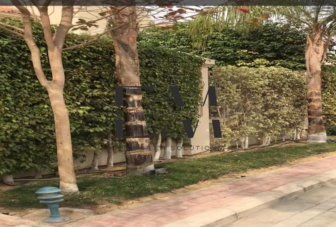 8142436 - صورة العقار 2