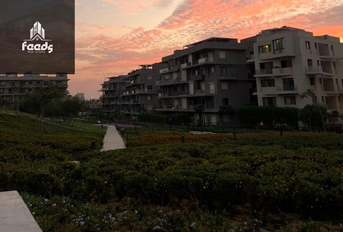 8337855 - Property Image 3