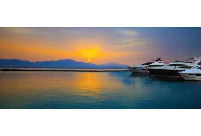 7960773 - صورة العقار 2