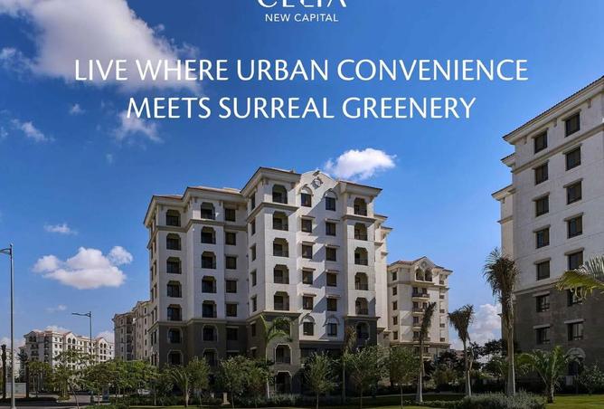 8193495 - Property Image 3