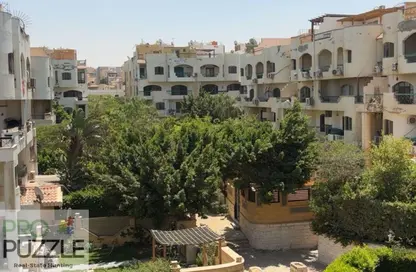 دوبلكس - 4 غرف نوم - 4 حمامات للايجار في شارع زيزينيا - المستثمرين الجنوبية - مدينة القاهرة الجديدة - القاهرة