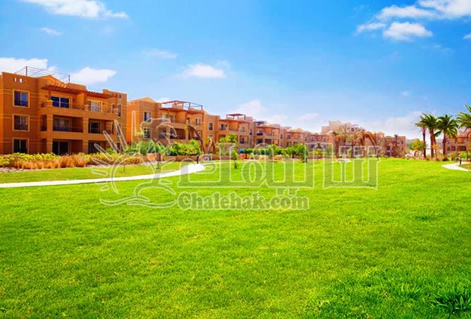 8246873 - Property Image 2