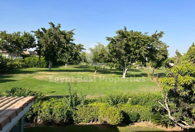 8433928 - صورة العقار 3