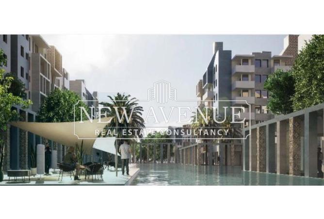 8089675 - Property Image 2