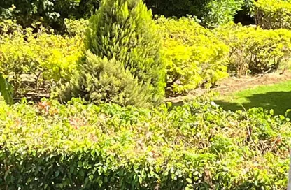 Apartment - 2 Bedrooms - 1 Bathroom for sale in Madinaty - Cairo