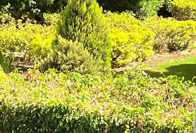 8236989 - Property Main Image