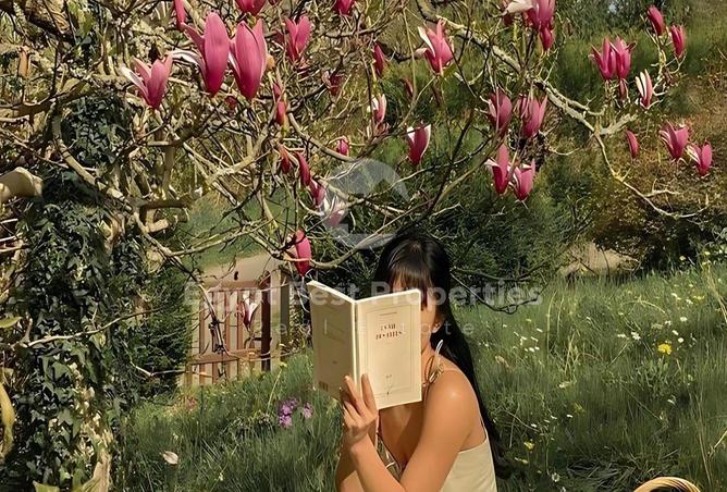 8204683 - صورة العقار 3