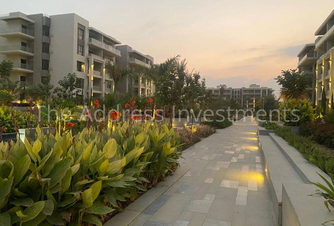 7906029 - Property Image 2