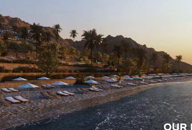 8360443 - Property Image 3