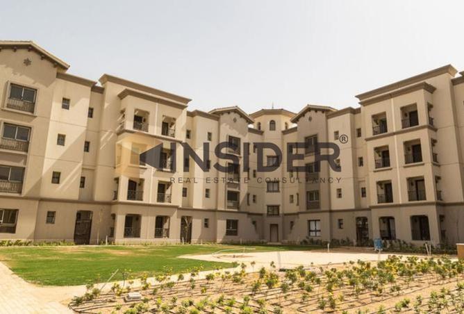 8074375 - Property Image 3