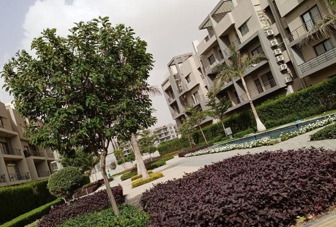 8198266 - الصورة الرئيسية للعقار