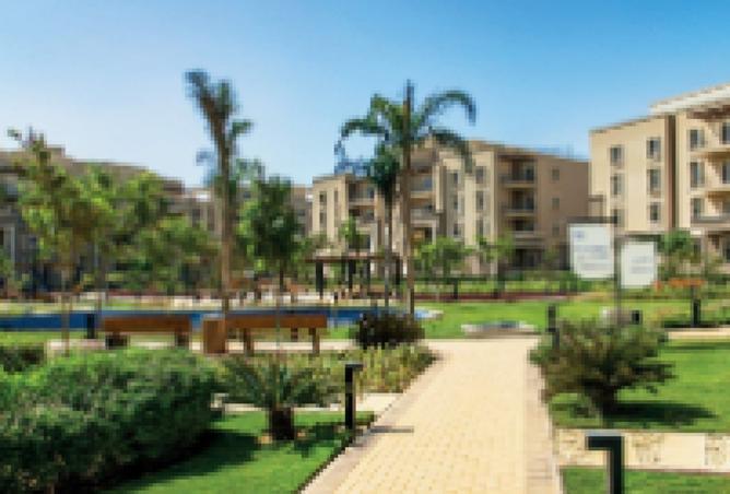 8291524 - صورة العقار 2