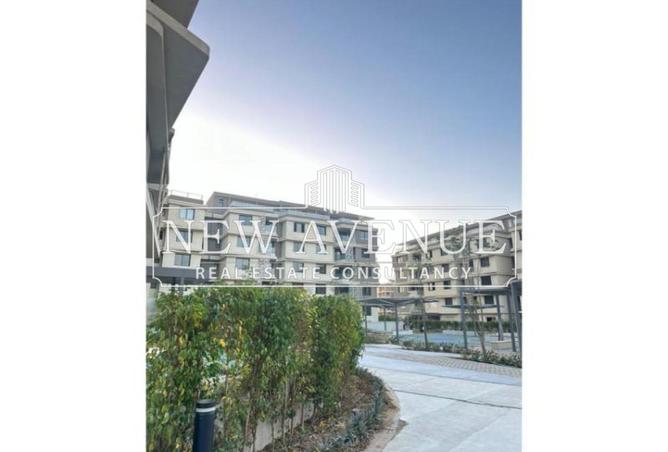 8300651 - صورة العقار 3