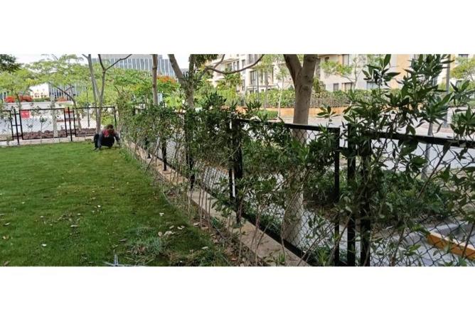 8501655 - صورة العقار 2