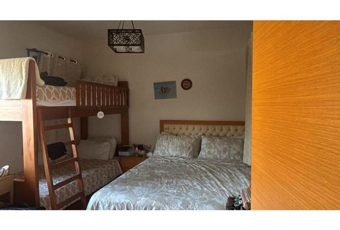 7889911 - Property Image 2