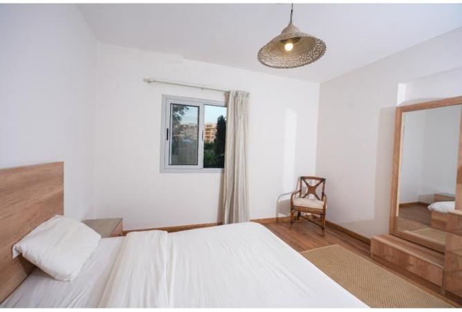 8414860 - Property Image 3