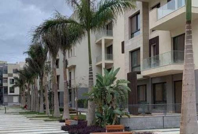 8180564 - صورة العقار 3