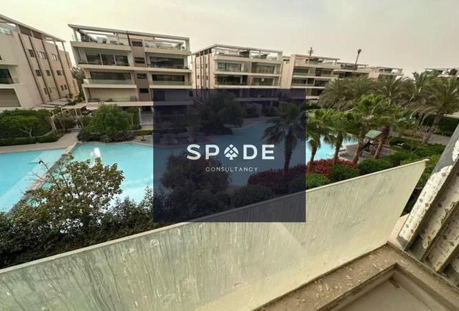 8501825 - Property Image 3