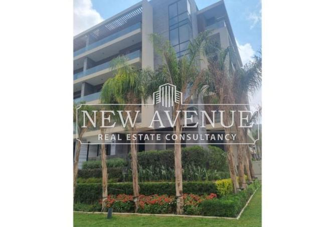 8386924 - Property Image 2