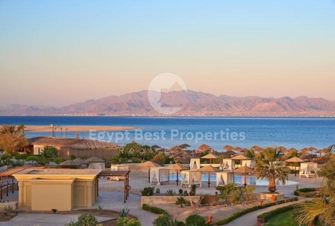 7971921 - Property Image 2