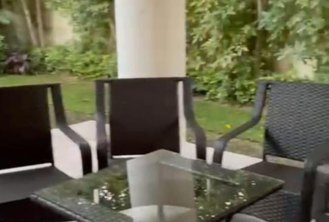 8299099 - Property Image 3