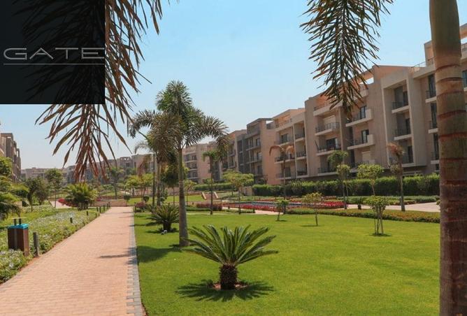 8137474 - Property Image 2