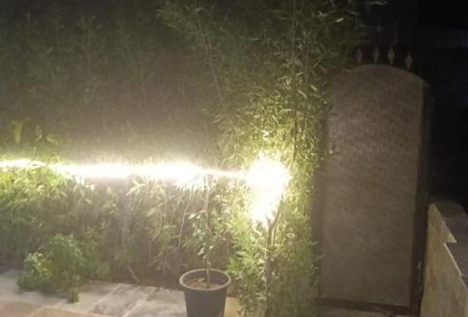 8180693 - صورة العقار 2