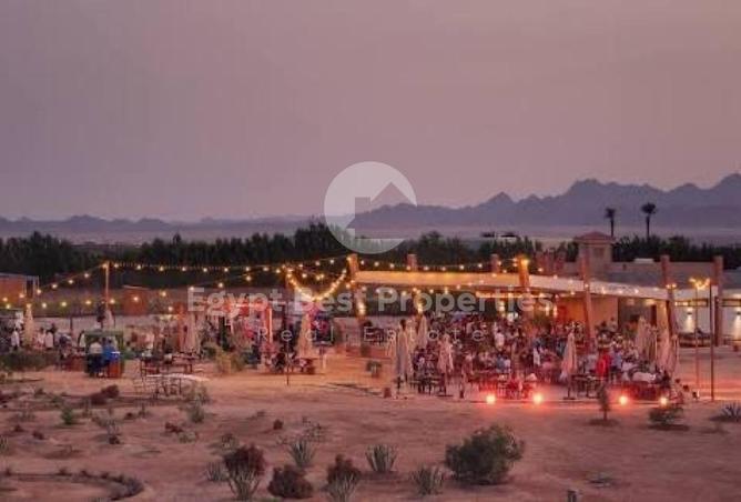 7916035 - الصورة الرئيسية للعقار