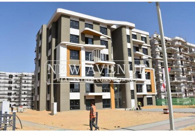 8437439 - Property Image 3