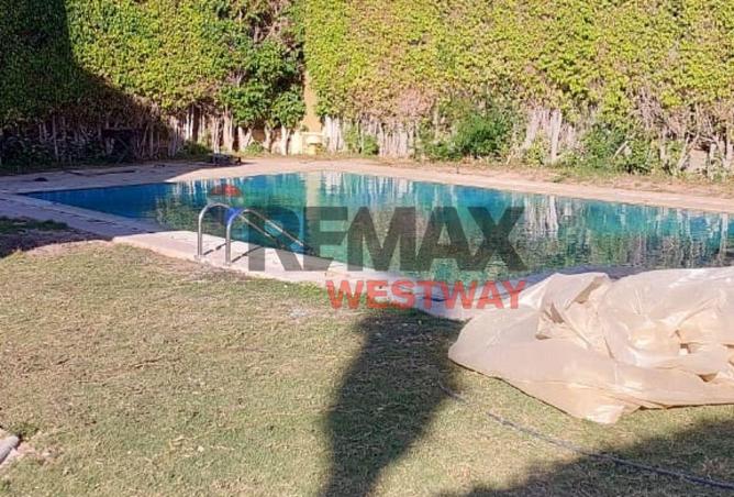 8393537 - صورة العقار 2