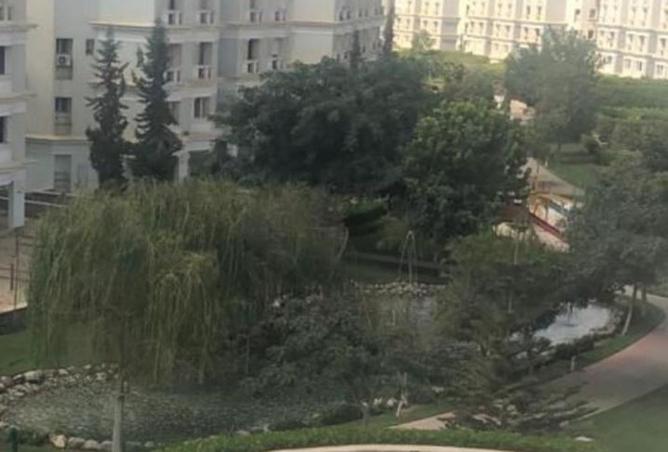 8382231 - Property Image 2