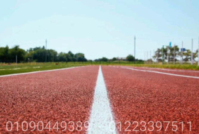 7906036 - Property Image 3