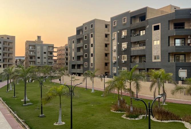 8447846 - Property Image 3