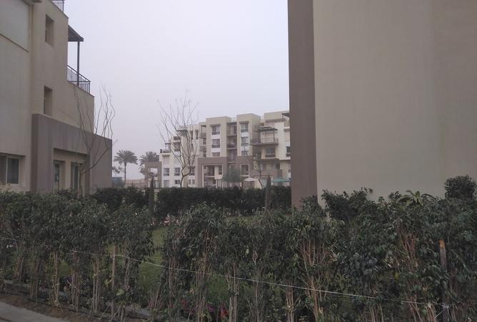 8241332 - الصورة الرئيسية للعقار