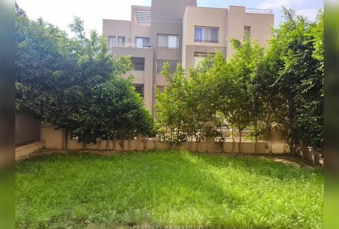7937674 - صورة العقار 3