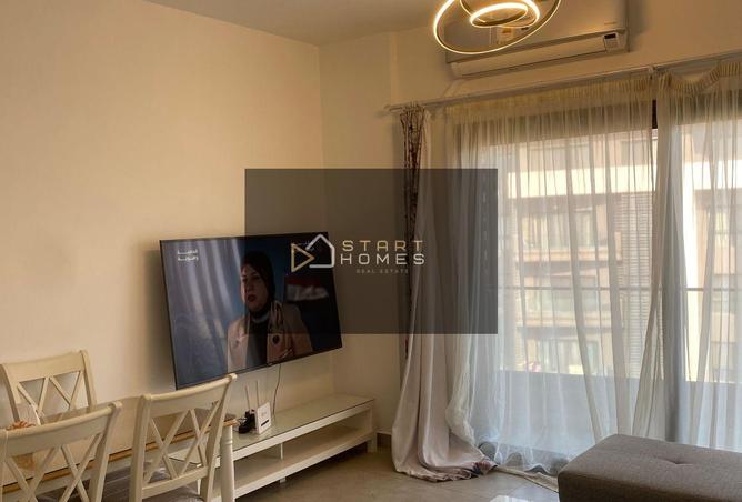 8159620 - Property Image 3